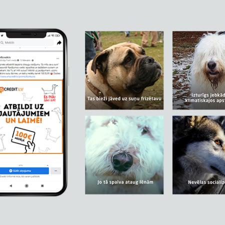 SMSCredit Dog quiz